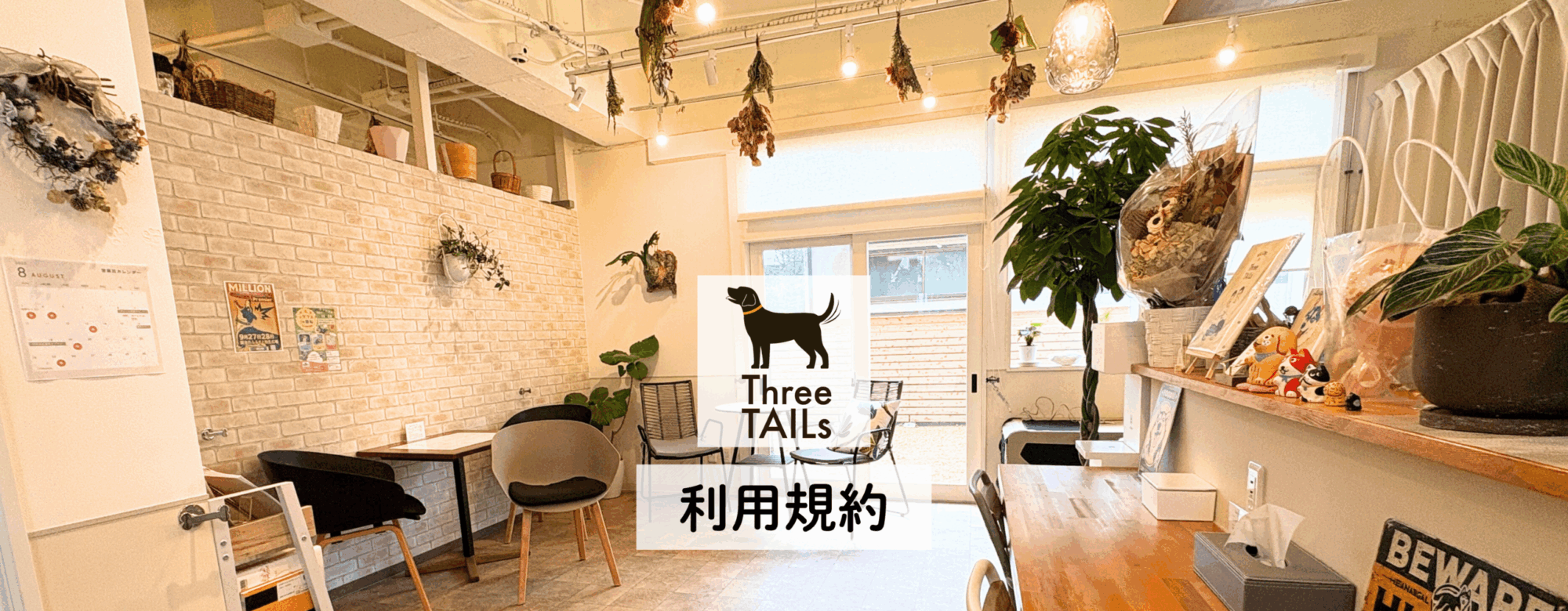 TAILsのカフェスペース。カウンター席とテーブル席があり、犬と一緒にくつろげる温かみのある空間。